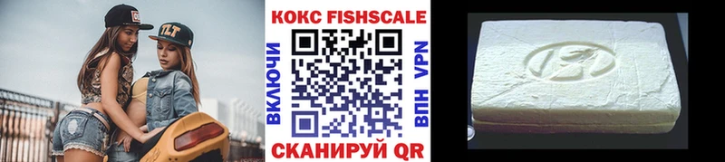 как найти закладки  Каменногорск  нарко площадка как зайти  КОКАИН FishScale 