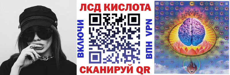 купить наркотики цена  Каменногорск  Наркотические марки 1,8мг 